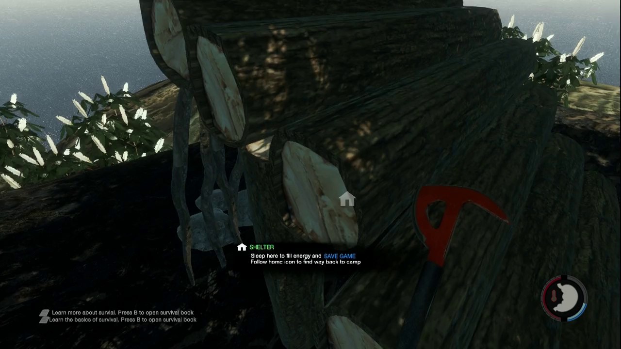 tuto bien commencer dans the forest