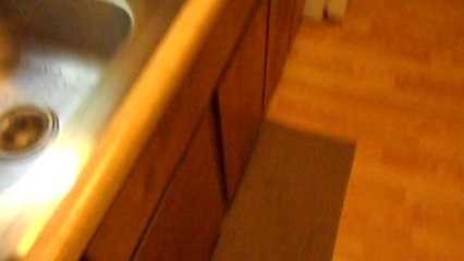 My babies getting treats