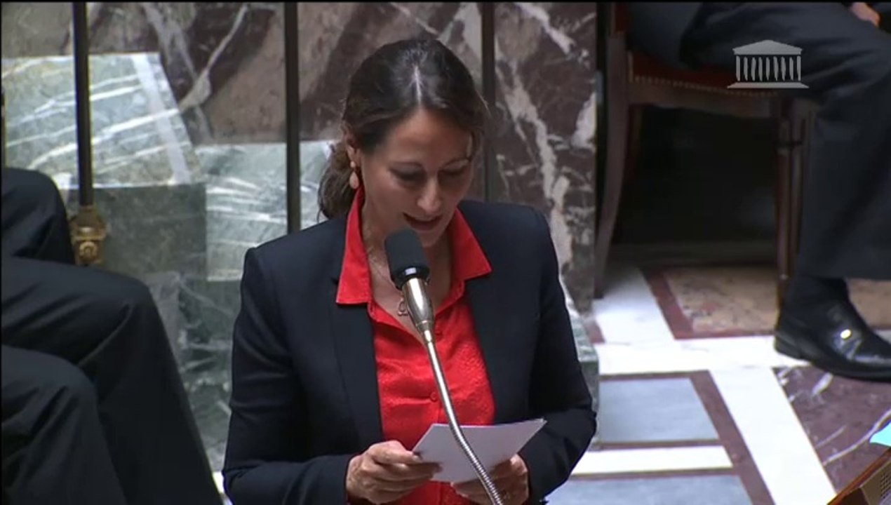 S. Royal répond à la QAG de G. Bapt au sujet des perturbateurs endocriniens