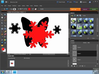 Adobe Photoshop Elements 8 part