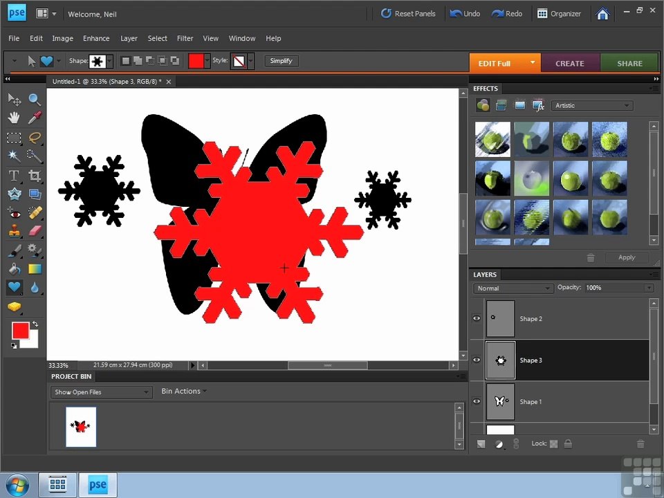 Adobe Photoshop Elements 8 part