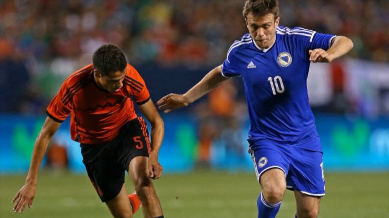 WM 2014: Susic: 'Qualifikation kein Zufall'