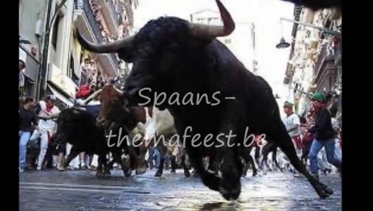 Spaans-themafeest.be