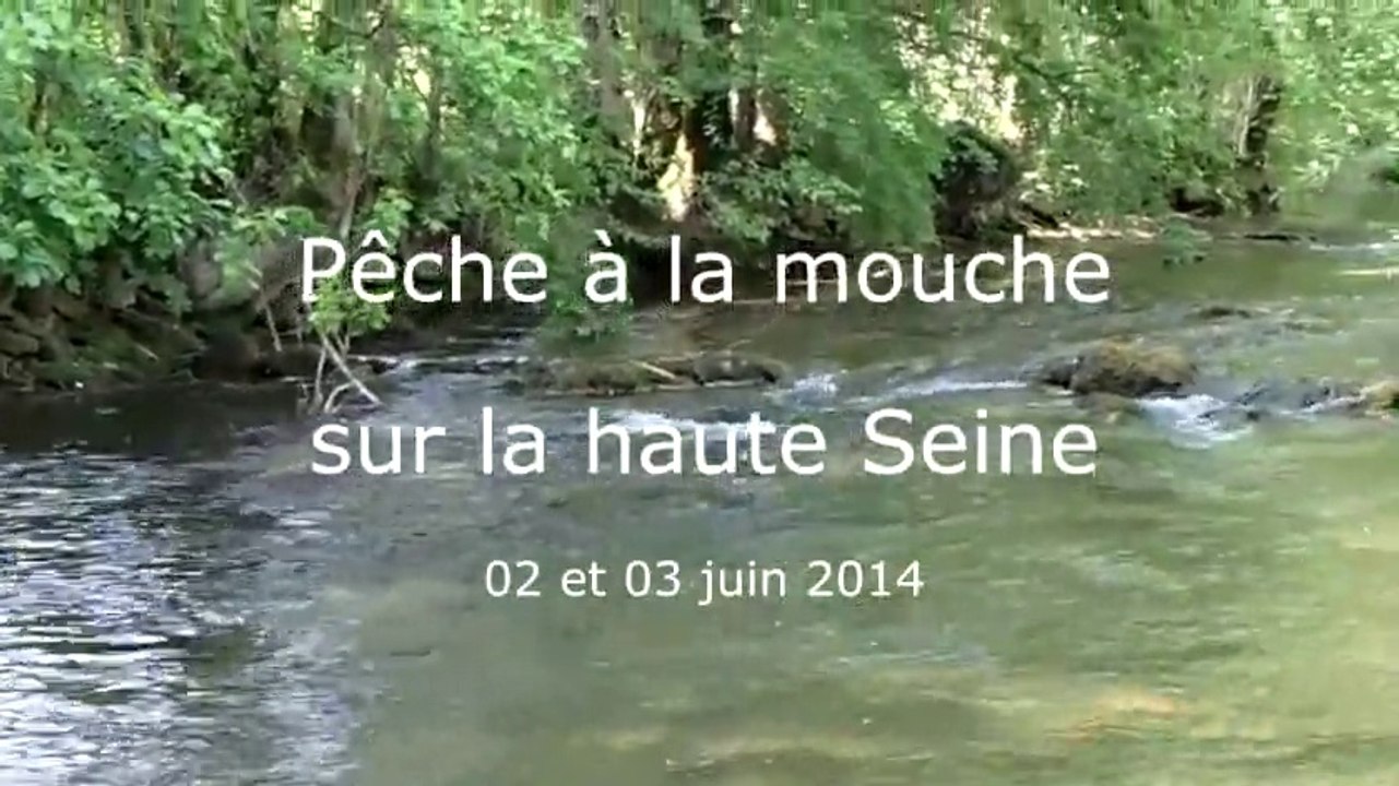 Pêche mouche -  Haute Seine - Juin 2014