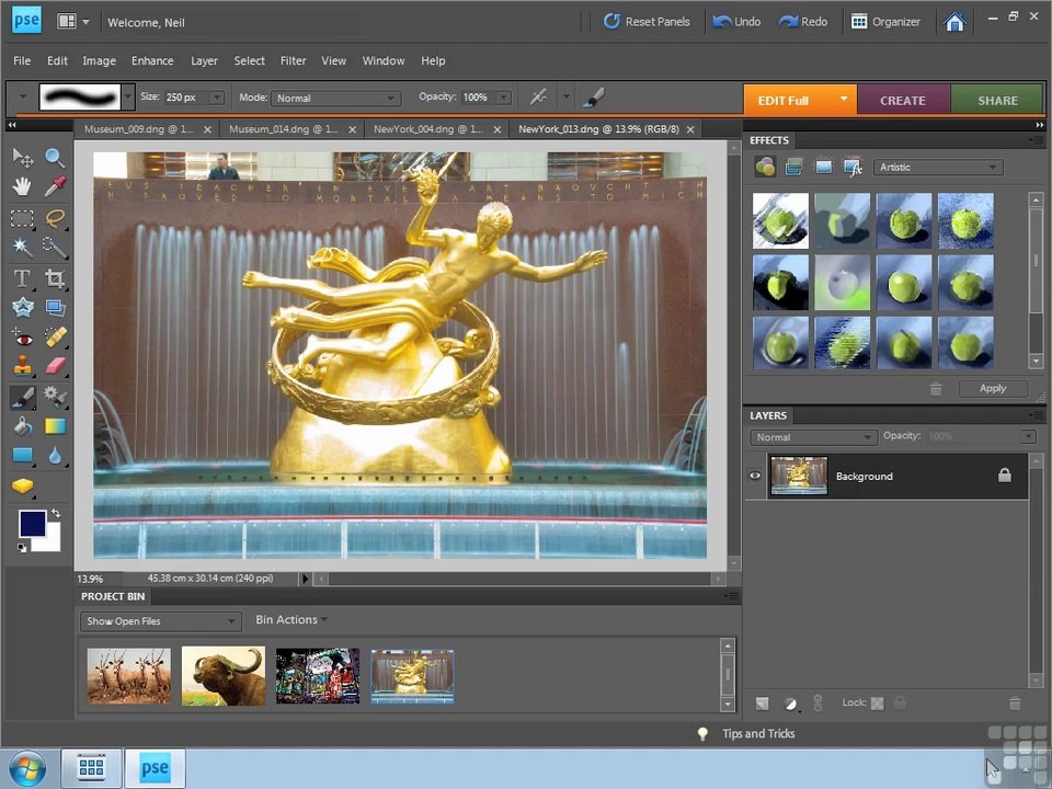 Adobe Photoshop Elements 8 part
