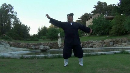Qi Gong the 5 animals of Wudang. THE SNAKE