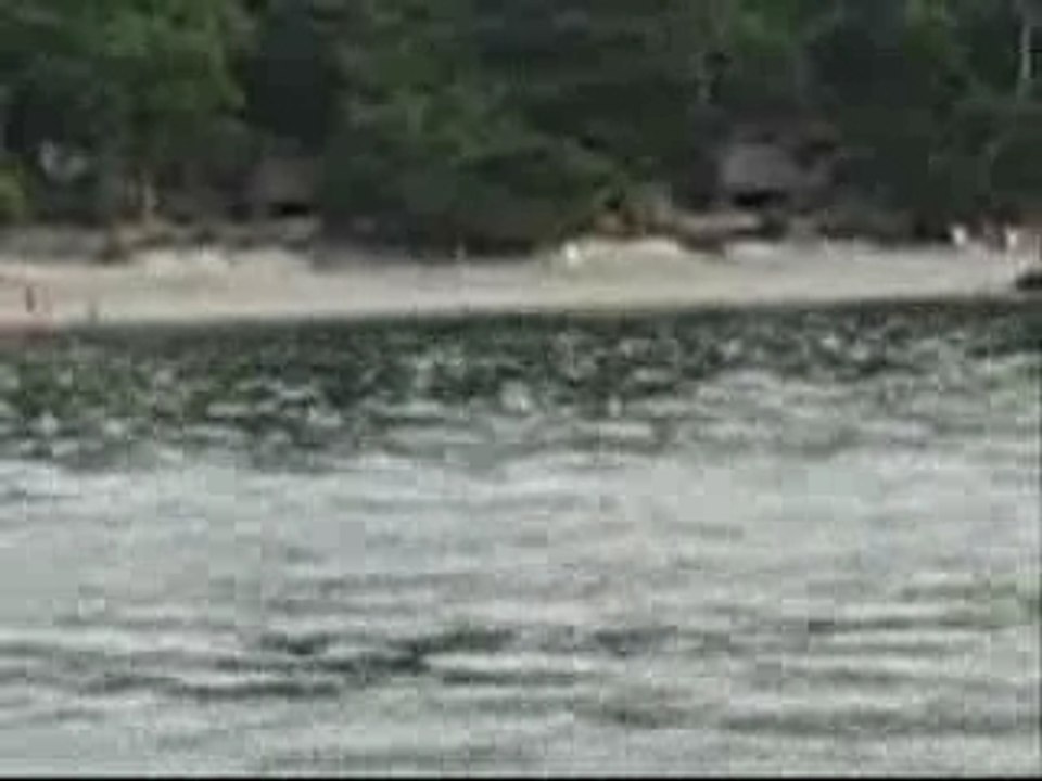 Thailand island koh lipe ko lipey boat t