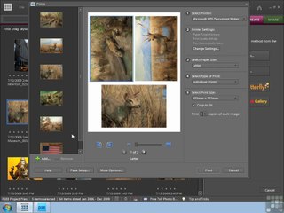 Adobe Photoshop Elements 8 part