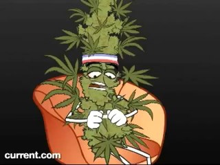 $1_Marijuana vs. Crystal Meth Cartoon