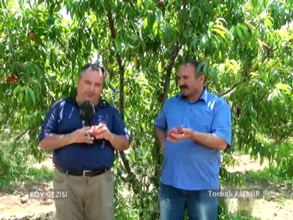 168. Bölüm Bağyurdu Şeftali Kiraz 2
