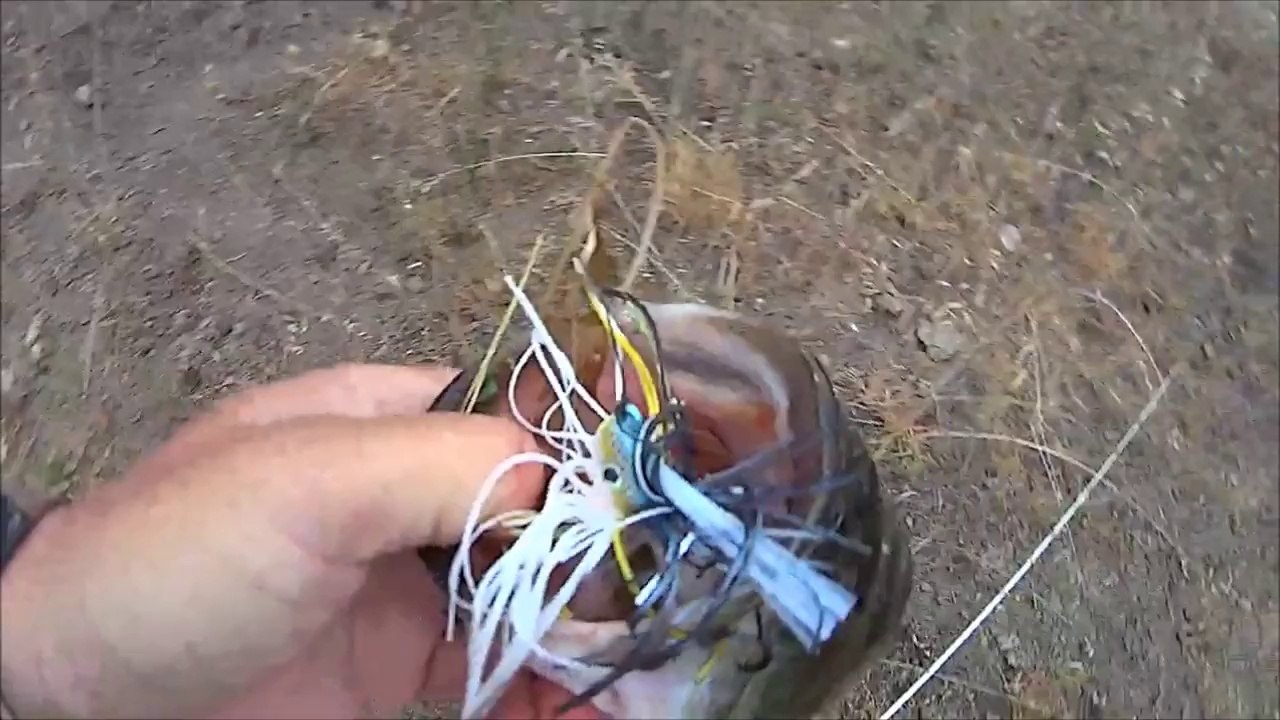 Largemouth Bass Fishing Strike King Swim jig