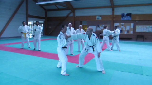 Ju-jitsu cours du 03/6/2014