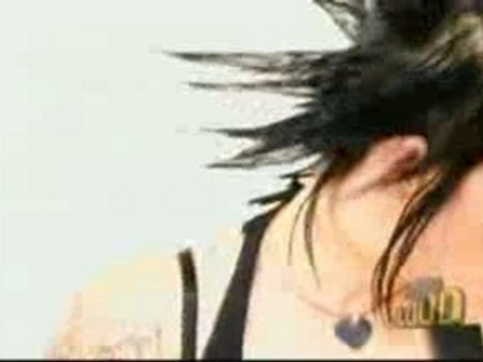 THE  DISTILLERS-The Young Crazed Peeling