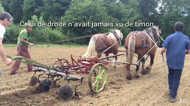 Porte-outils Bucher pour le travail en planche