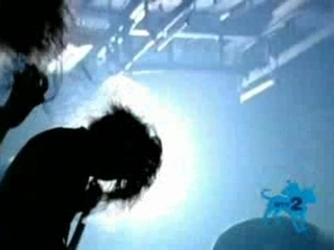 Cannibal corpse - death walking terror