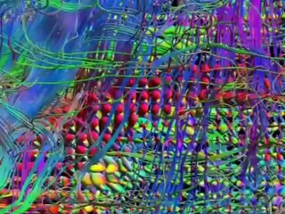 Comparación del cerebro con un ordenador   Parte 12