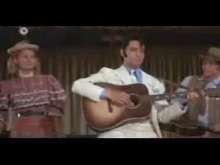 Elvis - clean up your own back yard