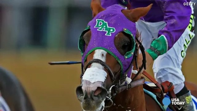 California Chrome makes nasal strips go viral | USA NOW