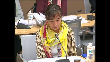 Audition de MM. Frank Supplisson et Guy Dollé, repreneurs d'Ascometal - Mercredi 4 Juin 2014