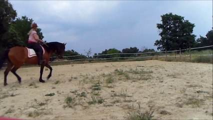 Autentica VI 03.06.14 II