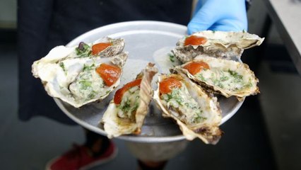 Epicuriousity - Tomales Bay Oyster Company: Farm-to-Table Freshness
