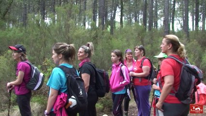 Surar de Llutxent ~ Pinet - Corresendes Xeresa (Vall d'Albaida 1/6/2014)