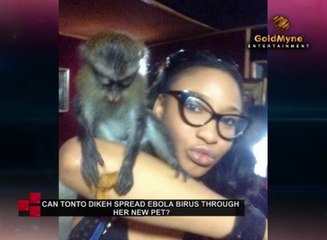 CAN ACTRESS TONTO DIKEH SPREAD EBOLA VIRUS THROUGH HER NEW PET