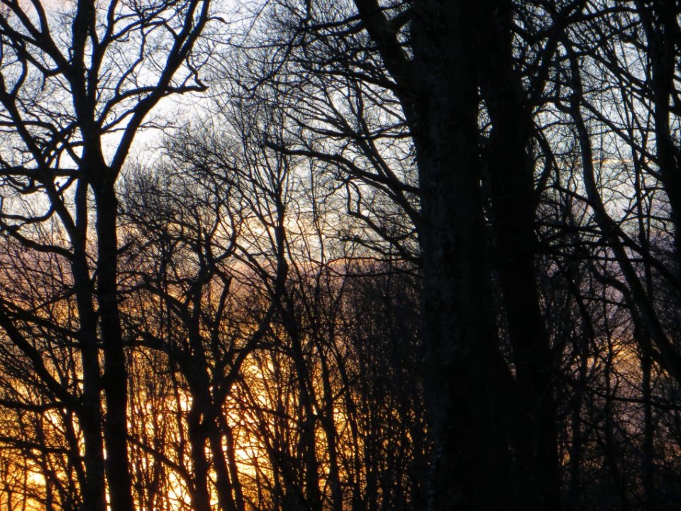 12 Petits Préludes Hypertonaux pour guitare solo Colette Mourey EMR 18567 Edition Marc Reift (4)