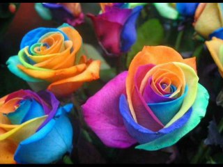 dilber ay - öldüm öldüm