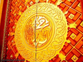 roshni grammar school 8