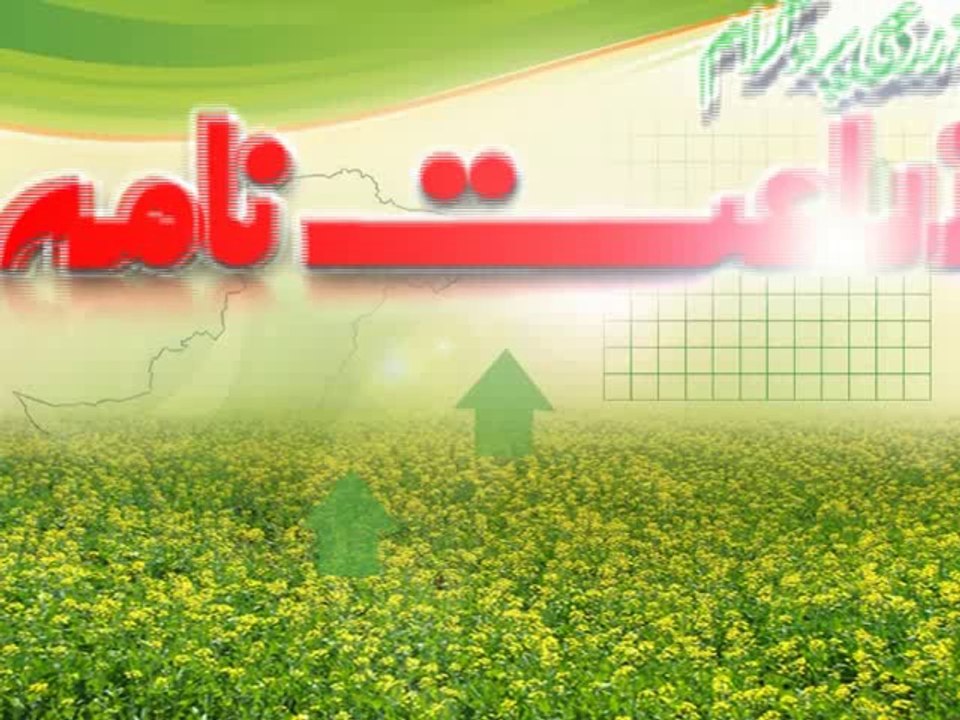 Talk show Oil Seed Dekh Bhaal aor Brdasht 4-12-13