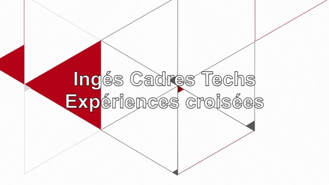 La CGT et son UGICT : expériences croisées