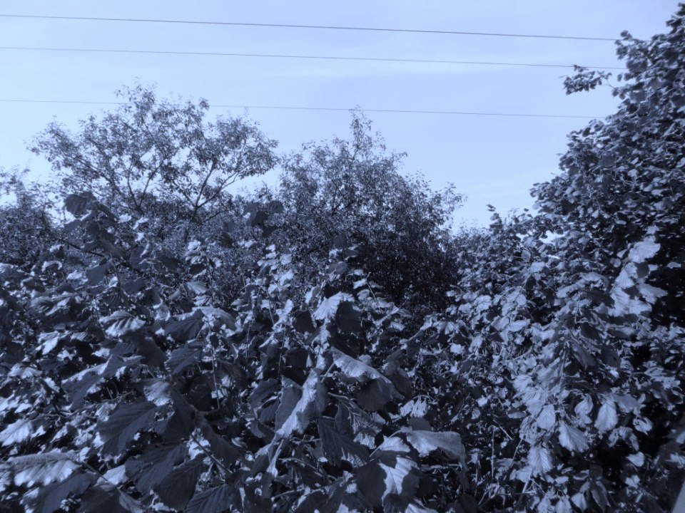 Aquarelles pour violon et guitare Première partie EMR 14485 Edition Marc Reift (2)