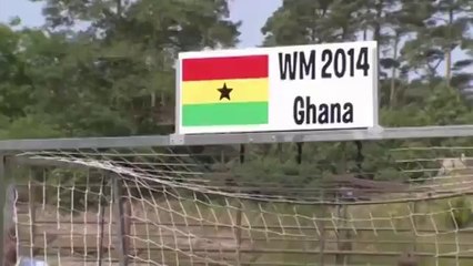 Elephant Predicts World Cup Matches