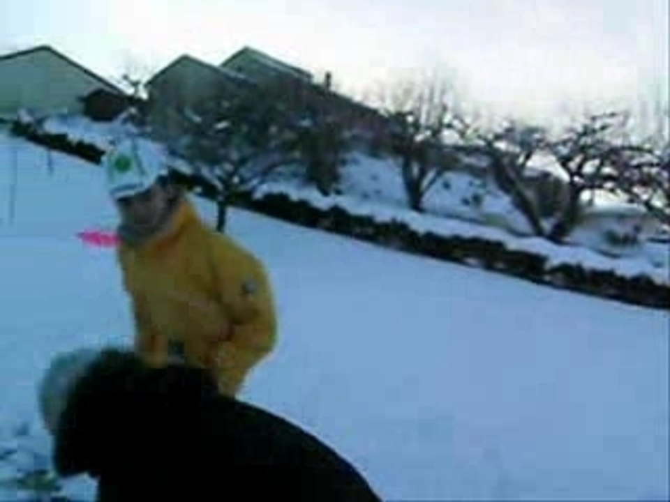 Les niernioniers à la neige