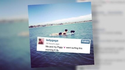 Lady Gaga surfe avec son chien Asia