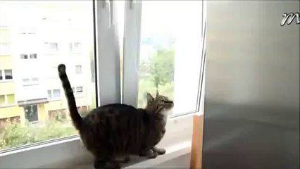 ◎카지노체험머니◁☎▨▷ ＹＡＭ ７７７.℃OM ◀▧↕카지노체험머니카지노체험머니카지노체험머니카지노체험머니카지노체험머니카지노체험머니카지노체험머니카지노체험머니