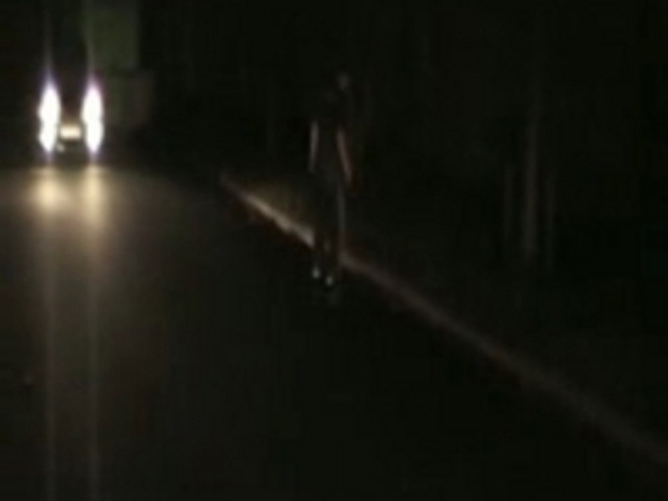 Sk8trailer