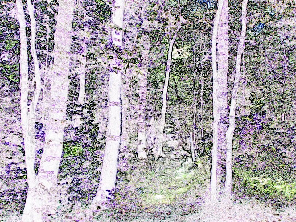 Concerto Amazonien pour guitare électrique et orchestre symphonique, Colette Mourey, EMR 18486, Edition Marc Reift (2)