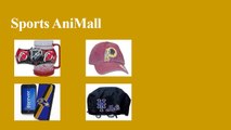 Sports AniMall- For the Best Sports Goods