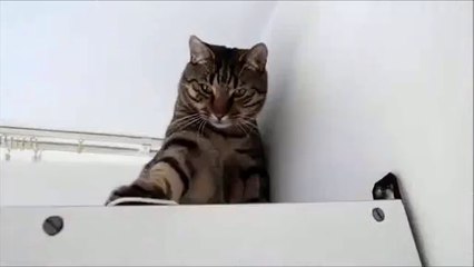 ♬강친닷컴▣◈▤▷ ＹＡＭ ７７７.℃OM ◀▤▷강친닷컴강친닷컴강친닷컴강친닷컴강친닷컴강친닷컴강친닷컴강친닷컴