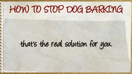 How To Stop A Barking Dog