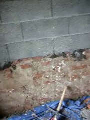 La nouvelle chambre du 1er étage