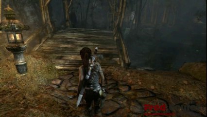 Tomb raider_Solution_14.6 Les 10 ceuillettes de La forêt de la montagne.
