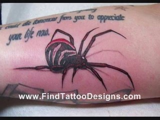 Spider Tattoos Designs FOr Download