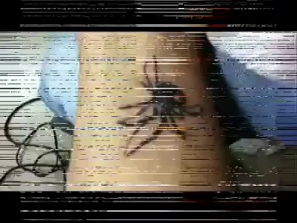 Tattoo spider In Amazing 3d