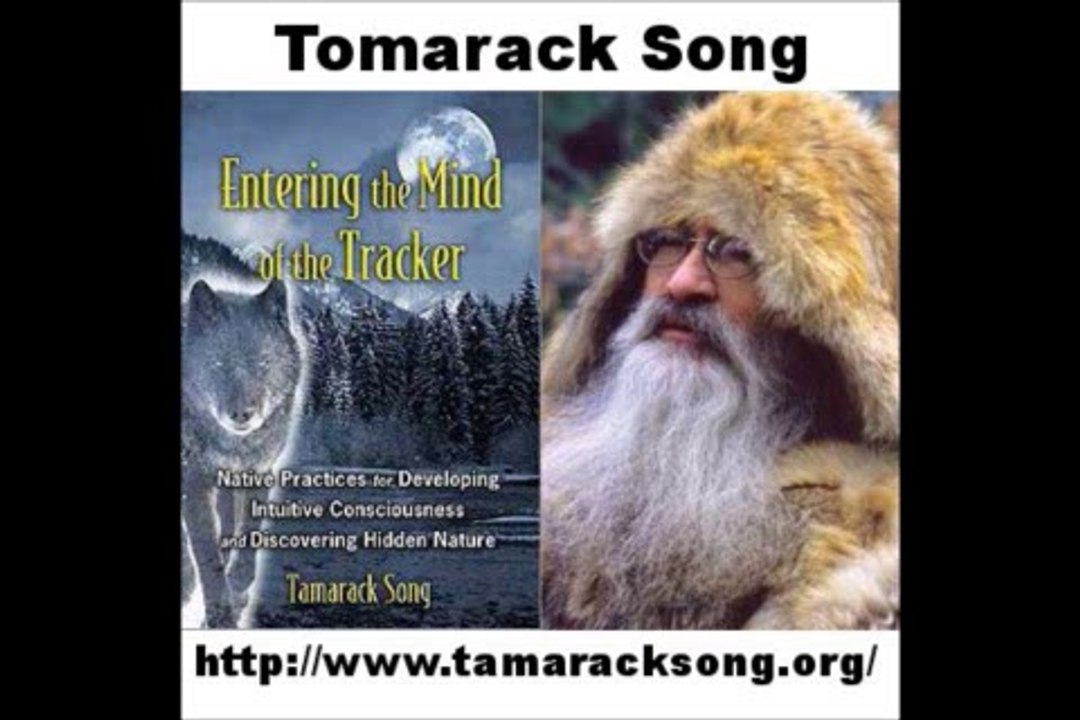 Entering the Mind of the Tracker