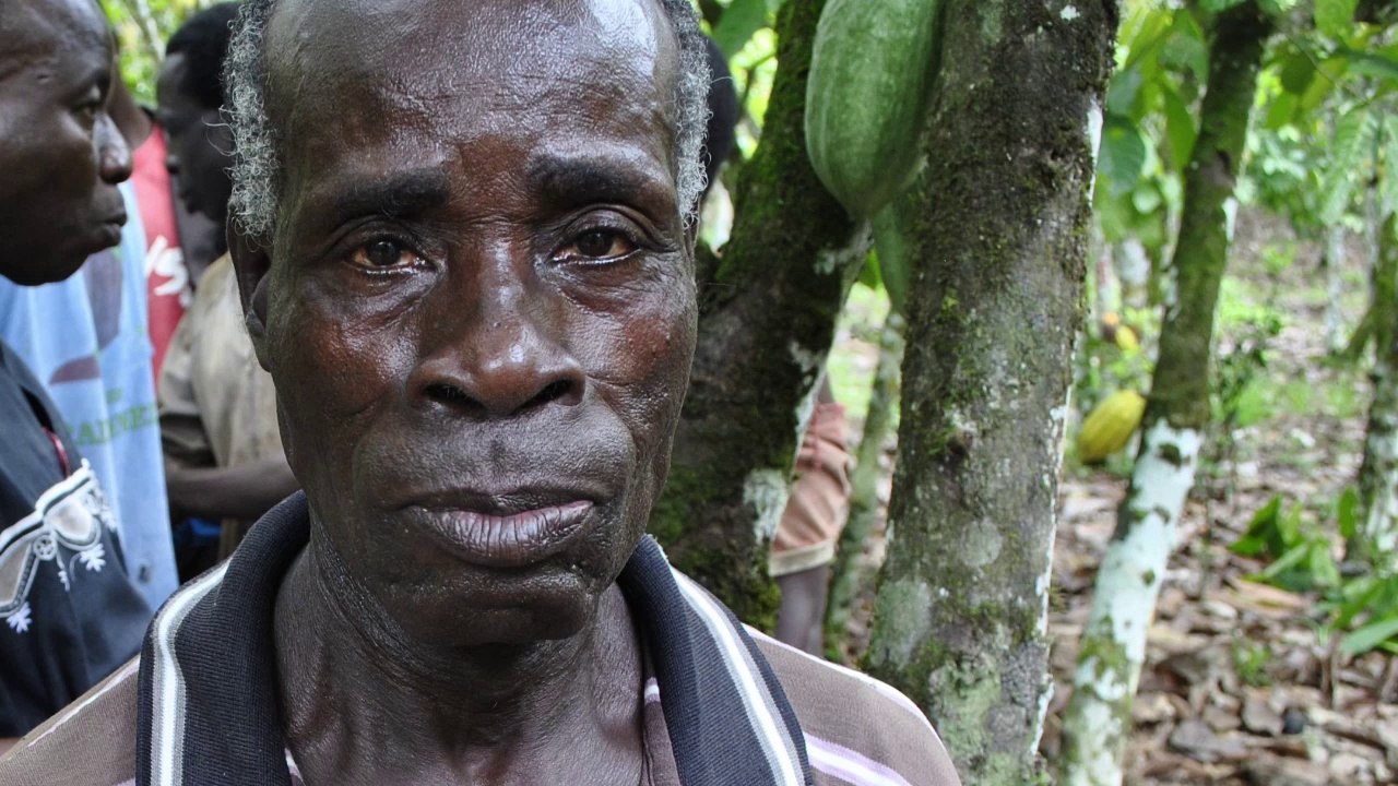 Mars Global Chocolate Supports Cocoa Action
