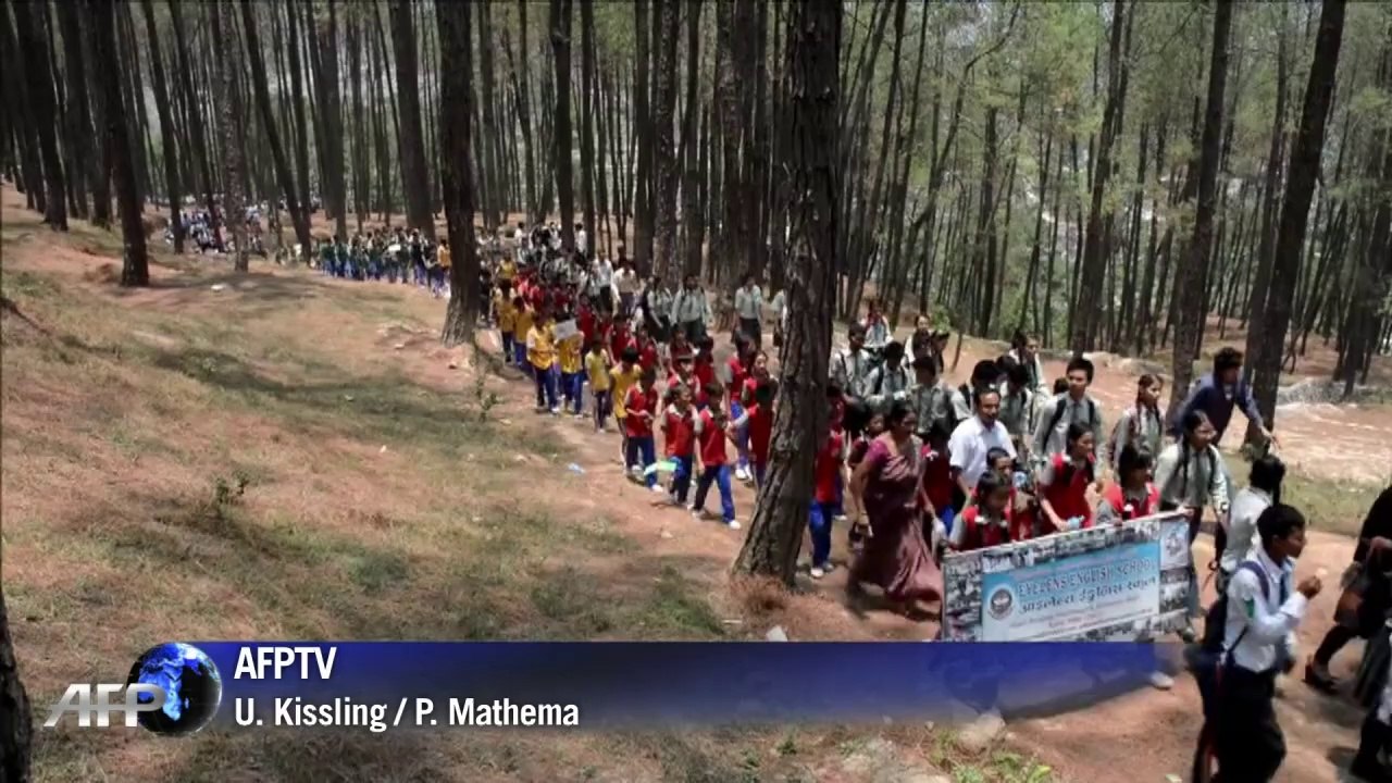 Weltrekordversuch: 2001 Menschen umarmen Bäume