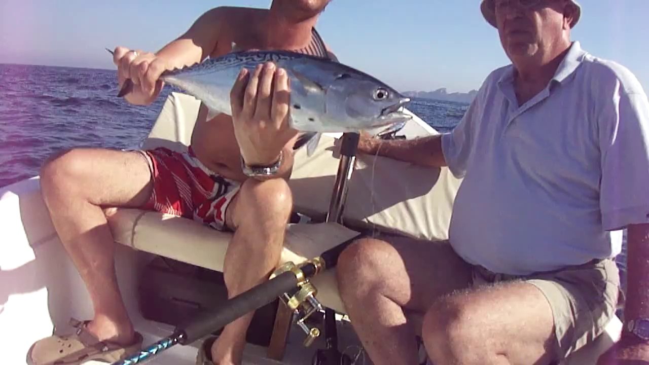 TROFE YAZILI ORKİNOS AVI VİDEOSU - www.adrasanbalik.com